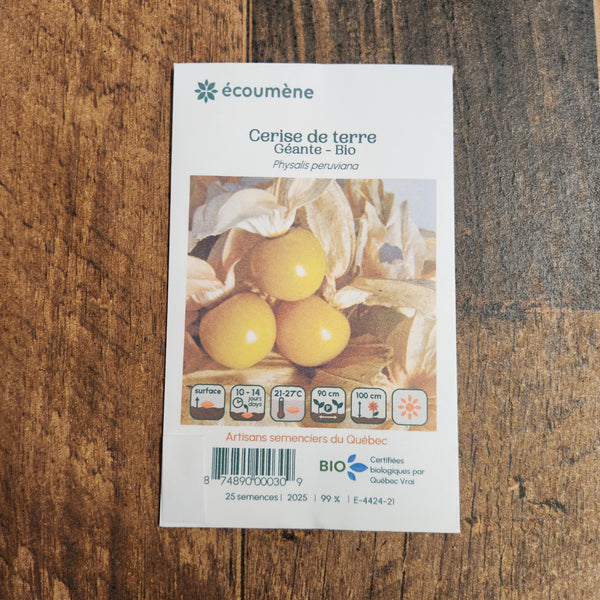 Organic Giant Ground Cherry