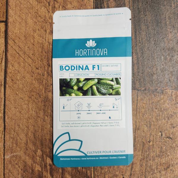 Gherkin Cucumber 'Bodina' F1