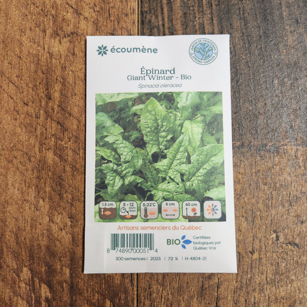 Organic 'Giant Winter' Spinach
