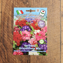 Semences Mélange de verveines à grandes fleurs 'Grandiflora'