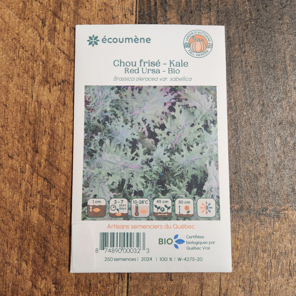 Organic 'Red Ursa' Kale