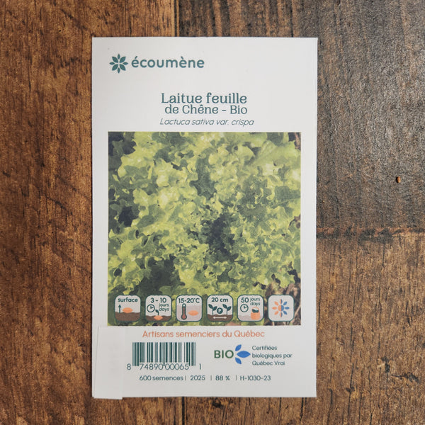 Organic Oak Leaf Lettuce