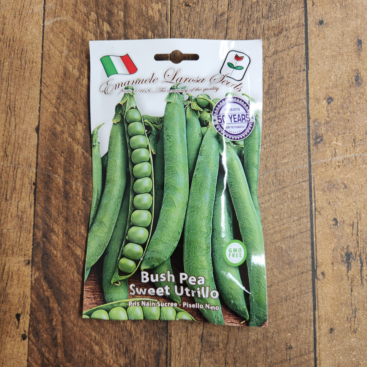 Bush Pea 'Sweet Utrillo'