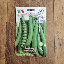 Bush Pea 'Sweet Utrillo'