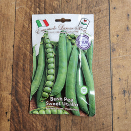 Bush Pea 'Sweet Utrillo'