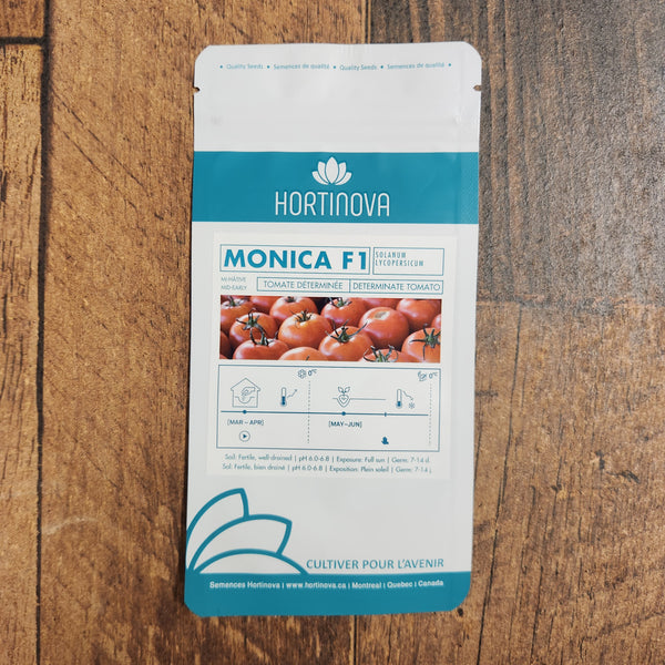 Beefsteak Tomato 'MONICA F1'