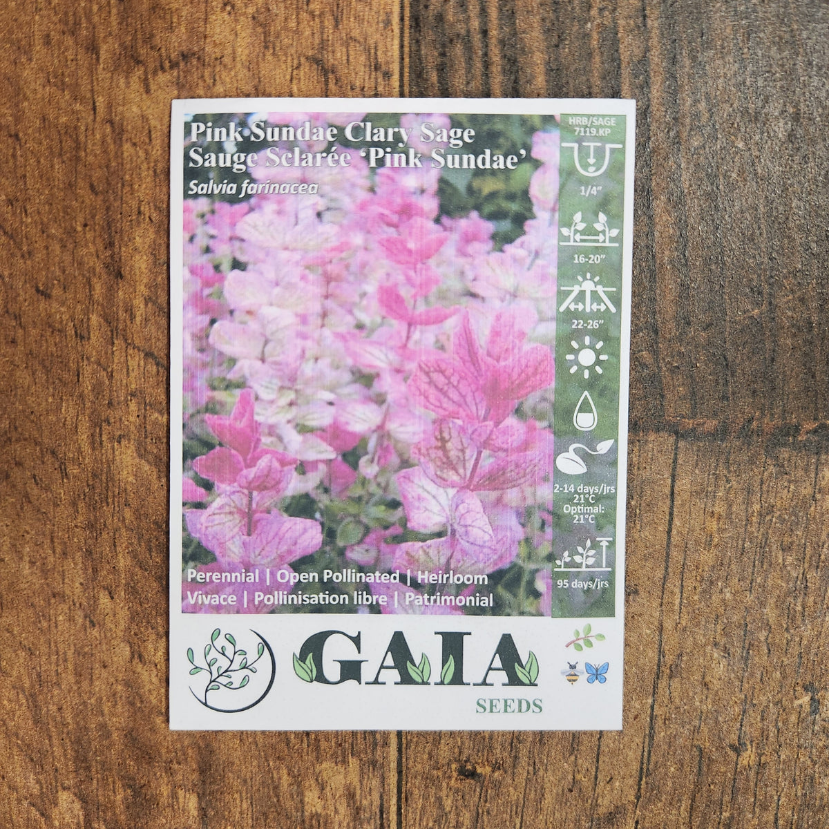 Organic 'Pink Sundae' Clary Sage Seeds by Gaia, additional product image for Canadian gardeners.