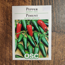Jalapeno 'hot chili'