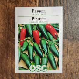 Jalapeno 'hot chili'