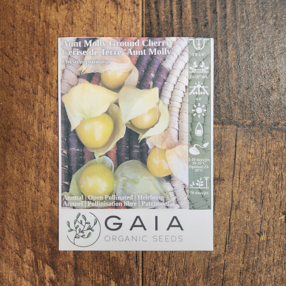 Organic 'Aunt Molly' Ground Cherry Seeds by Gaia, additional product image for Canadian gardeners.