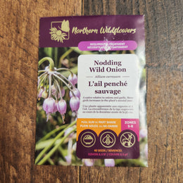 Nodding Wild Onion 