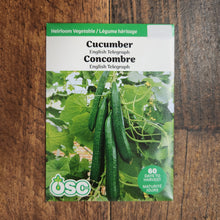 Cucumber 'English Telegraph' 