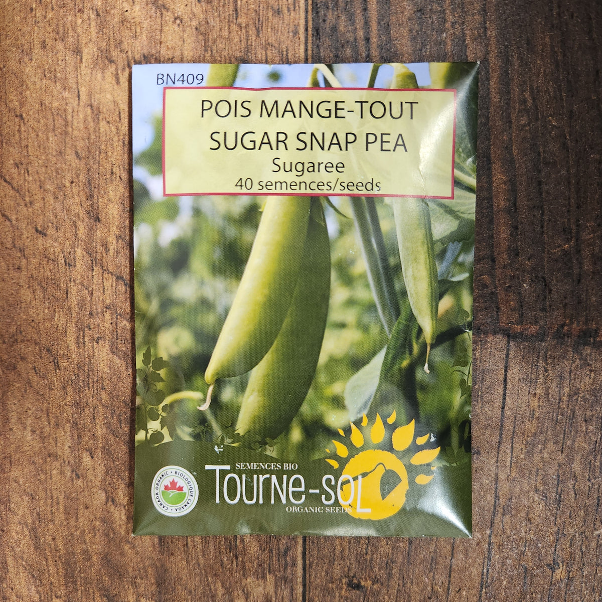 Snap pea ‘Sugaree’ (Pisum sativum)