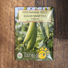 Pois mange-tout 'Sugaree' bio