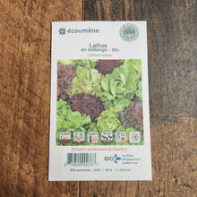Sachet de semences Laitue en mélange. Emballage blanc photographié de face sur un fond de bois brun. Une image du végétal occupe la partie centrale, sous le nom imprimé. De petits pictogrammes et un code-barres apparaissent au bas du sachet. La marque Écoumène figure dans la partie supérieure de cette présentation.