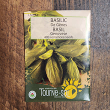 Organic Genoa Basil