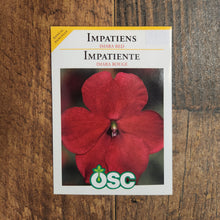 Impatiens 'Imara XDR Red' 