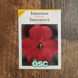 Impatiens 'Imara XDR Red' 