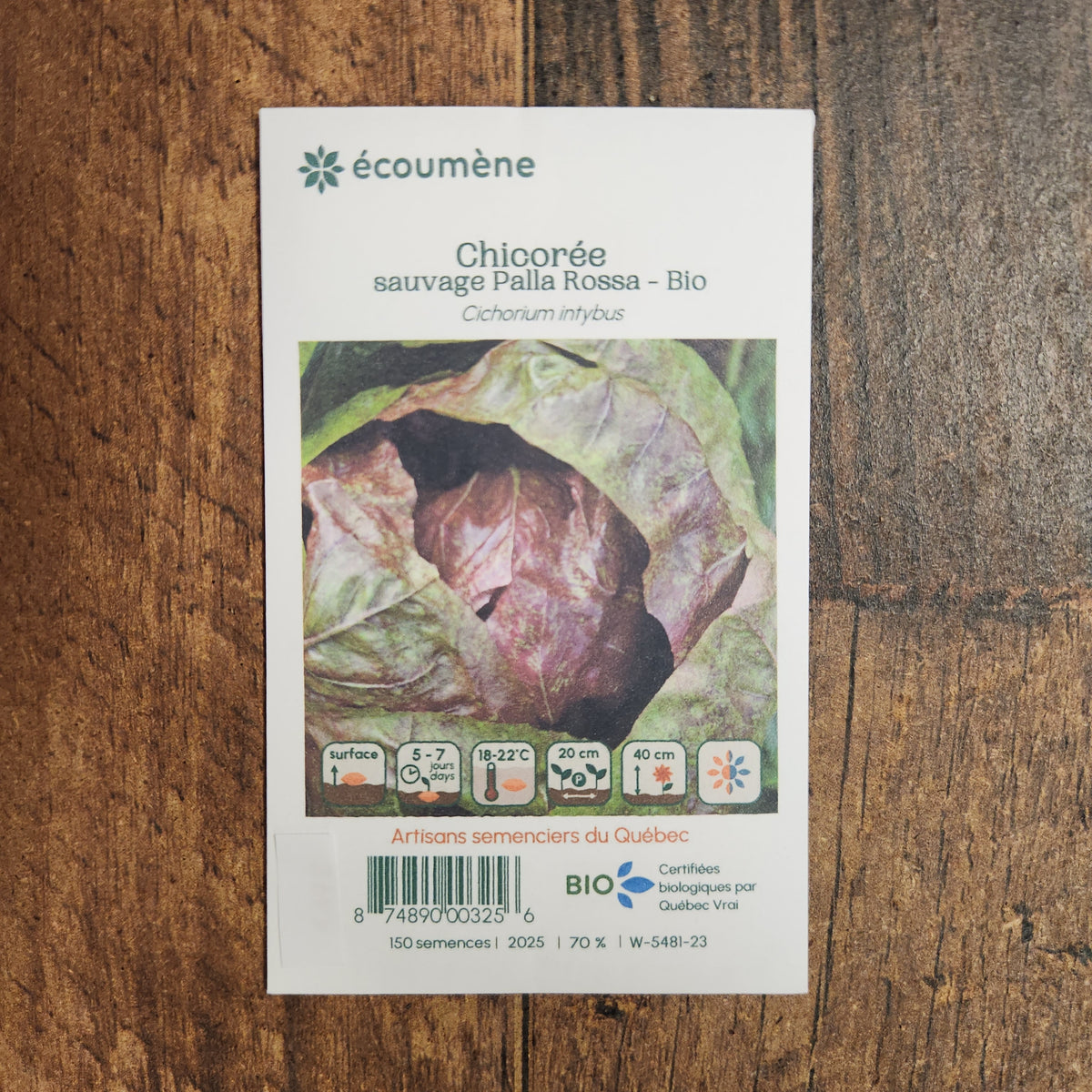 Sachet de semences Chicorée sauvage Palla Rossa. Emballage blanc photographié de face sur un fond de bois brun. Une image du végétal occupe la partie centrale, sous le nom imprimé. De petits pictogrammes et un code-barres apparaissent au bas du sachet. La marque Écoumène figure dans la partie supérieure de cette présentation.