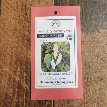 Piment fort 'Bhut Jolokia' blanc bio