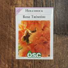 Hollyhock 'Double Apricot