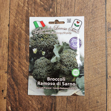 ‘Ramoso riccio di Sarno’ broccoli (<em>Brassica oleracea</em>)