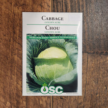 Cabbage 'Golden Acre' 