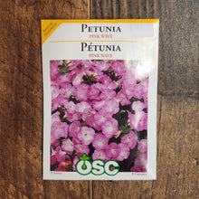 Petunia 'Pink Wave'