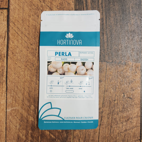White Radish 'PERLA'