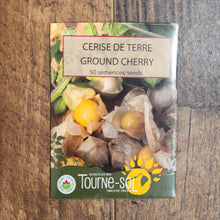 Organic ground cherry