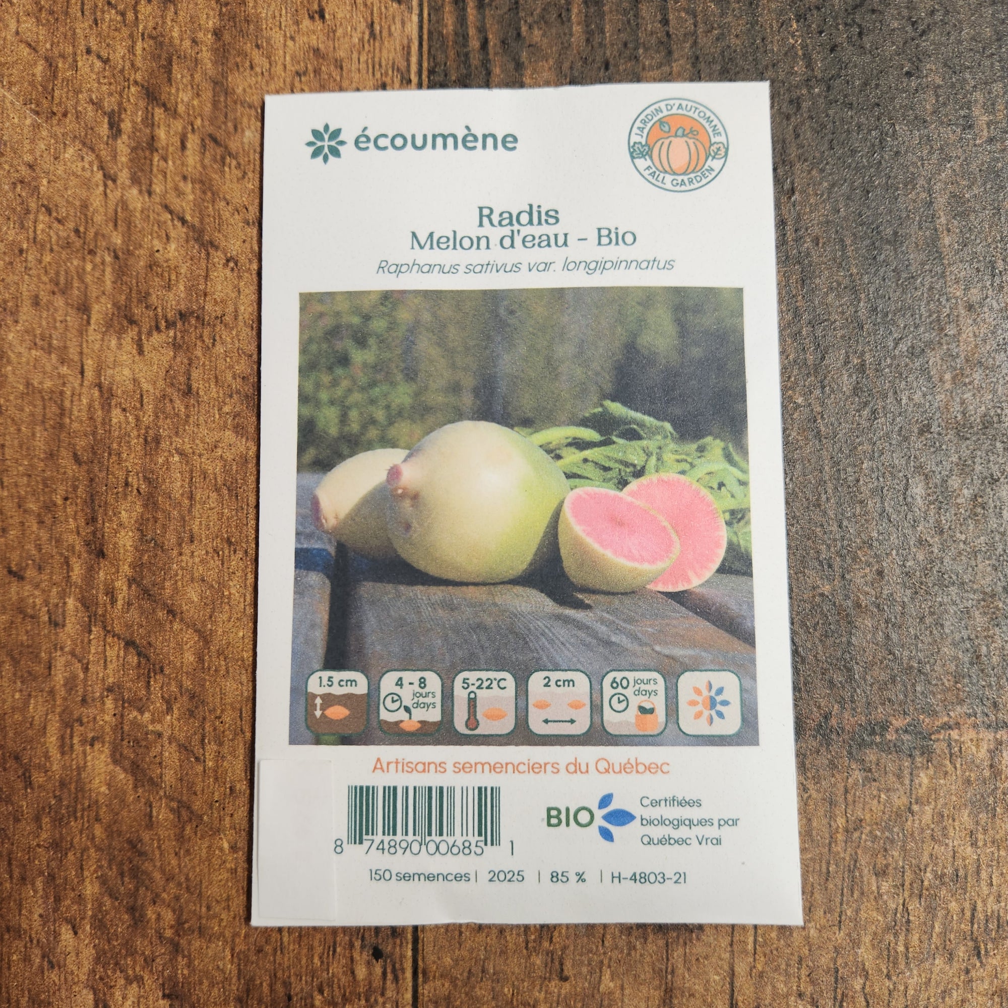 Organic 'Watermelon' Radish