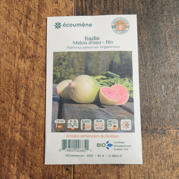 Radis 'Melon d'eau' bio