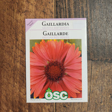 Gaillardia 'Arizona Red Shades'