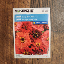 Zinnia mix 'Berry Tart'