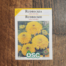 Rudbeckia 'Maya Double'