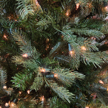 Sapin Marseille