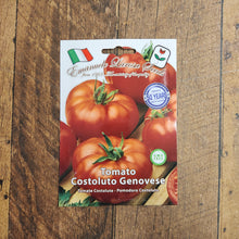 Tomato 'Costoluto Genovese'