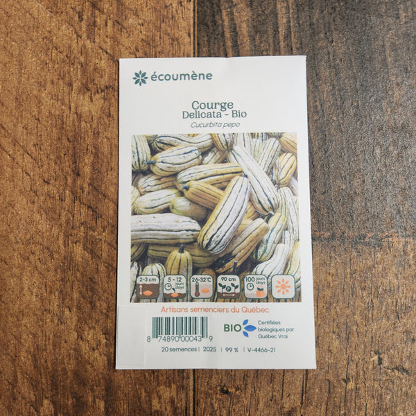 Organic 'Delicata' Squash