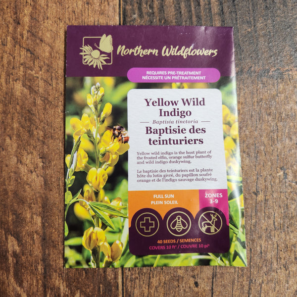 Yellow False Indigo