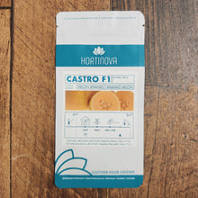 Melon Ananas 'CASTRO F1'