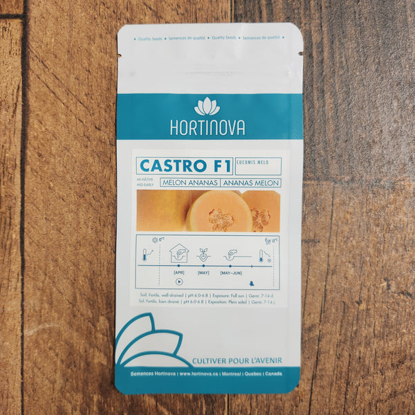 Melon Ananas 'CASTRO F1'