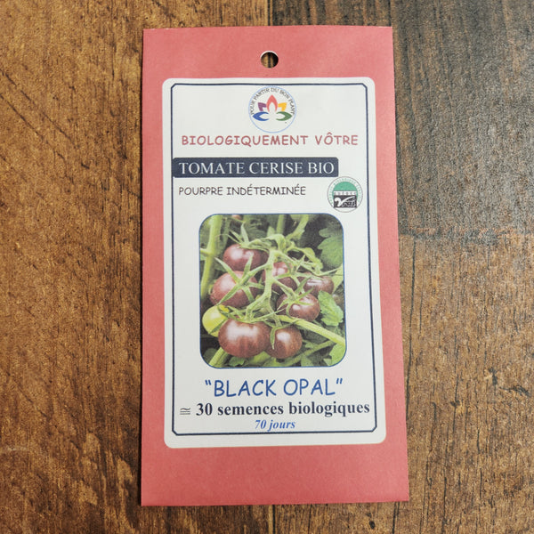 Organic cherry tomato 'Black Opal'