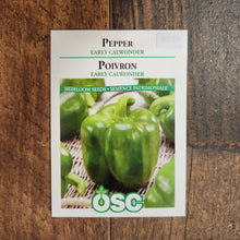 Pepper 'Early Calwonder'