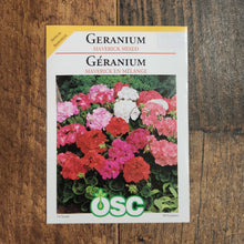 Géranium à couleurs mixtes
