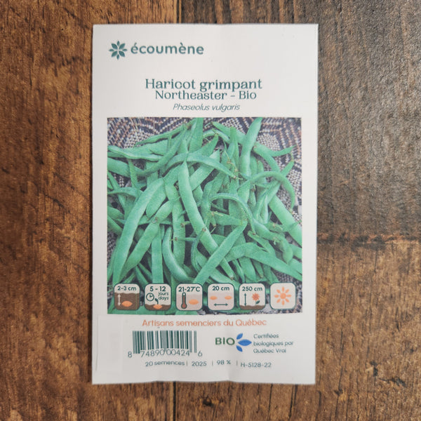 Organic 'Northeaster' climbing bean