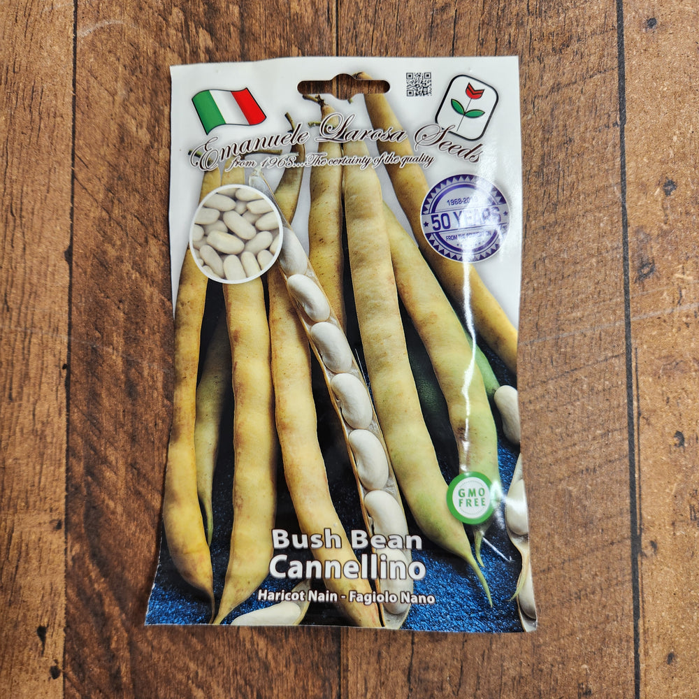 Bush bean 'Cannellino'