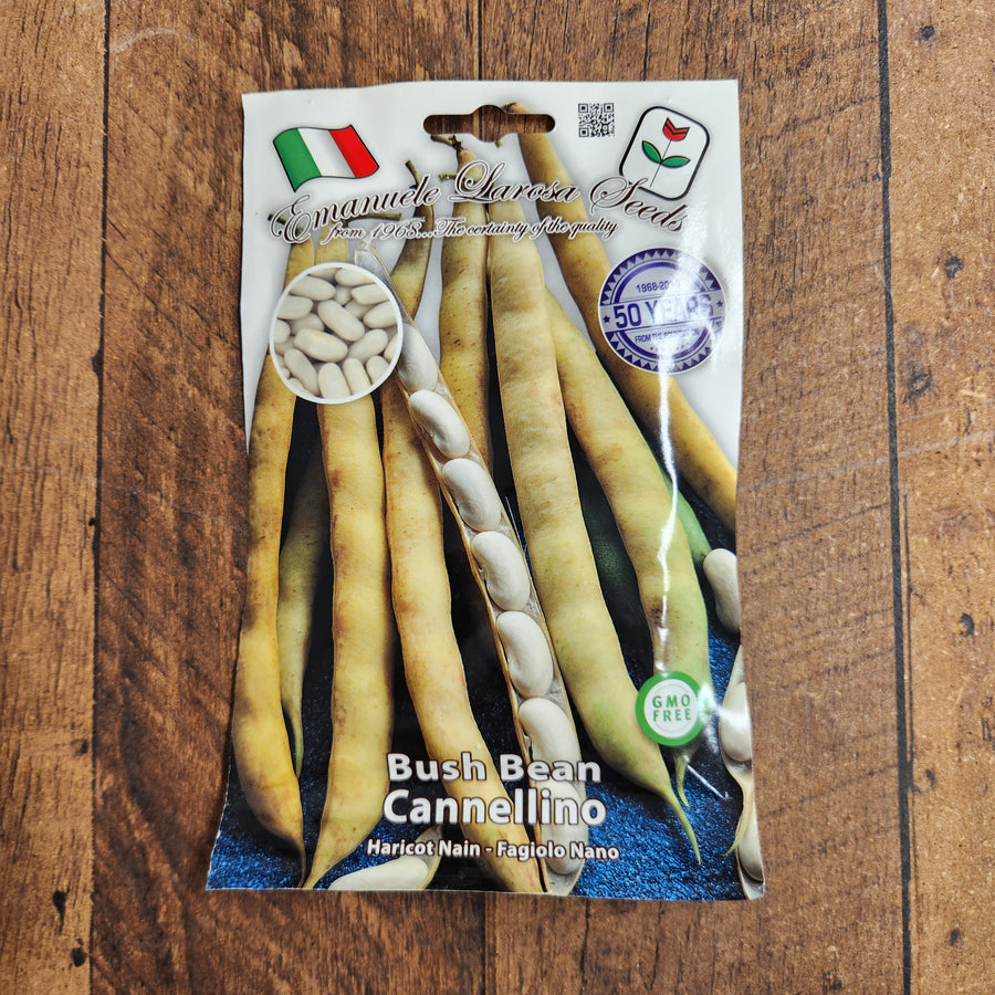 Haricot nain 'Cannellino'