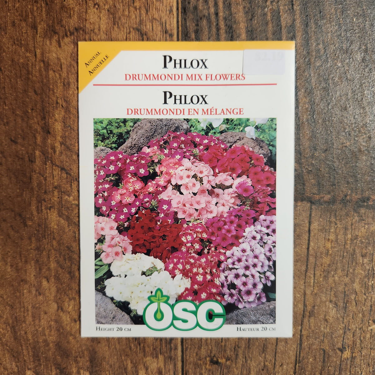 Phlox 'Drummondii Mix Flowers'