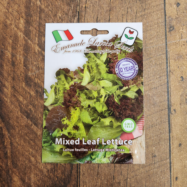 Mixed lettuce 'Misticanza'