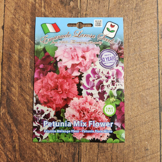 Image de Pétunia en mélange ( Petunia × atkinsiana ). Pétunia en mélange permet d’ajouter une plante ornementale aux plates-bandes, bordures ou contenants adaptés à son développement. Son nom botanique est Petunia × atkinsiana. La variété peut être associée à d’autres plantes dont les besoins en lumière, en drainage et en arrosage sont comparables. Cette illustration aide à reconnaître le produit et les principales caractéristiques décrites pour Pétunia en mélange ( Petunia × atkinsiana ).